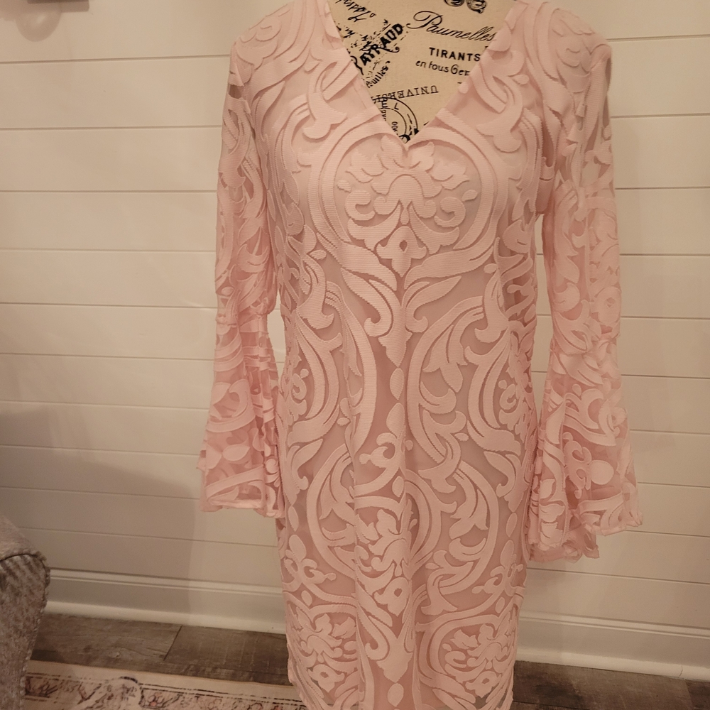 Soft Pink Lace Long-Sleeve V-Neck Dress